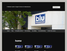 Tablet Screenshot of bluperspective.com